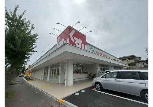 サングリーン その他