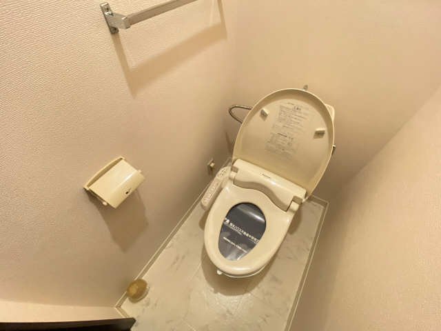 Ｙ・Ｙシーサイドパレス壱番館 トイレ