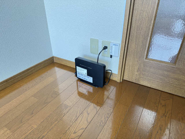 パエストゥム その他