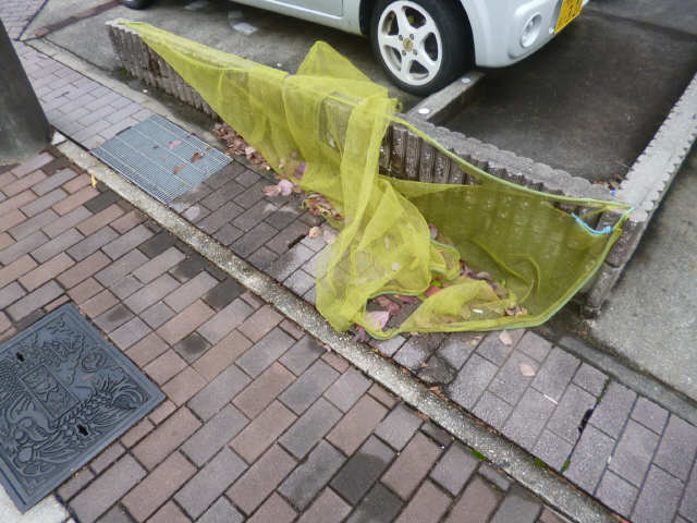 コスモこだま その他