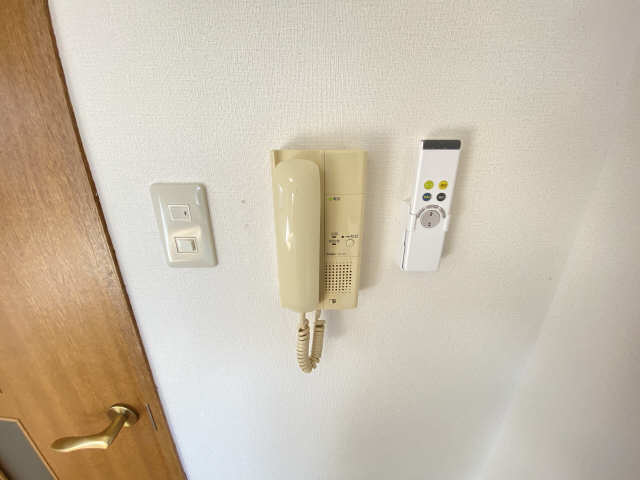 レスポアールコア その他
