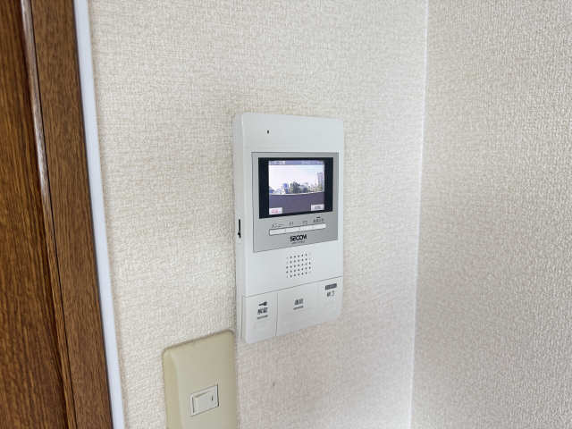 パエストゥム その他