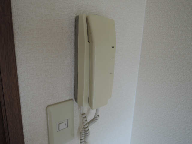 パエストゥム その他