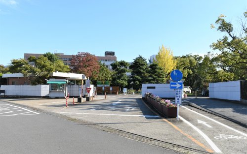 Ｃｏｃｏａ その他