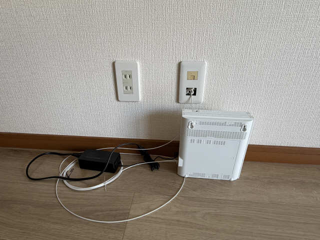 ヴィヴィアンロゼ その他
