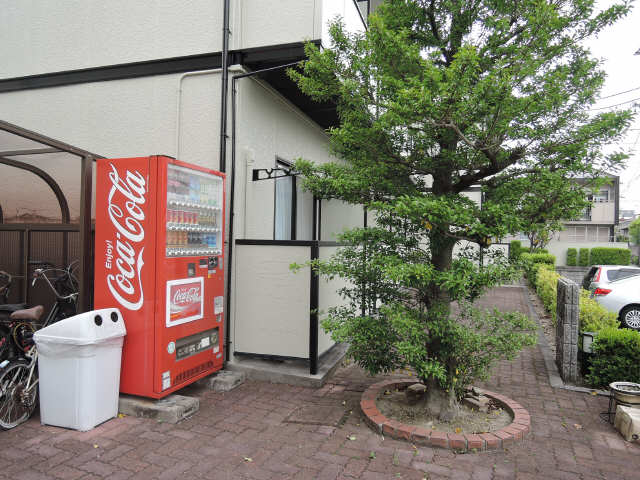 ジュネストーコー その他