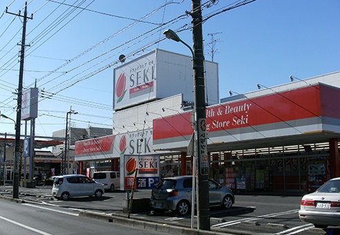 メゾンハイツ市川  周辺画像3