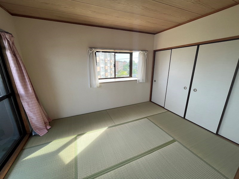 サンシャトゥー  その他
