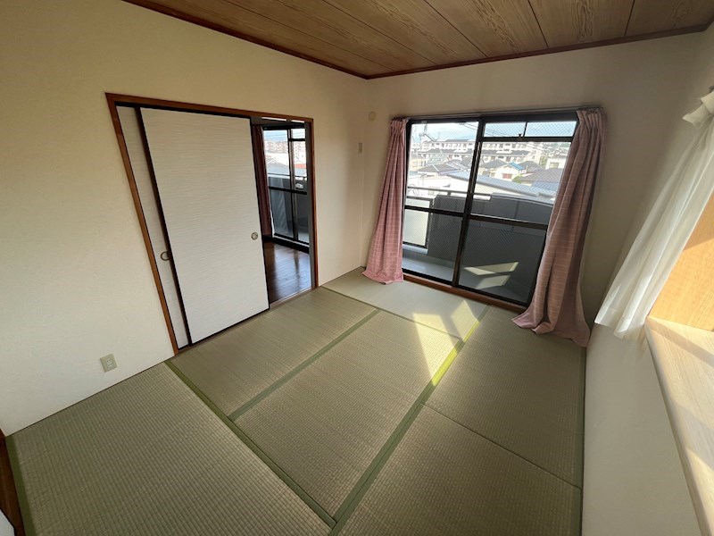 サンシャトゥー  その他