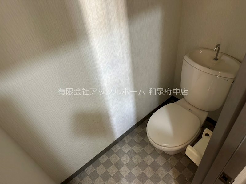 ヴィラシトラス その他