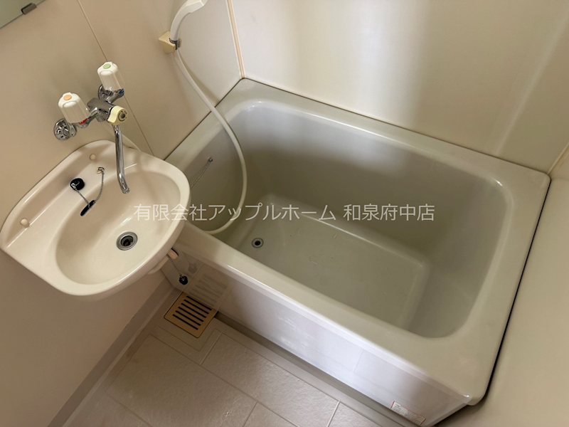 レジーナ その他