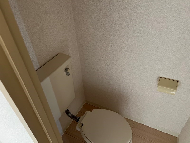WAKAMIYA8 その他