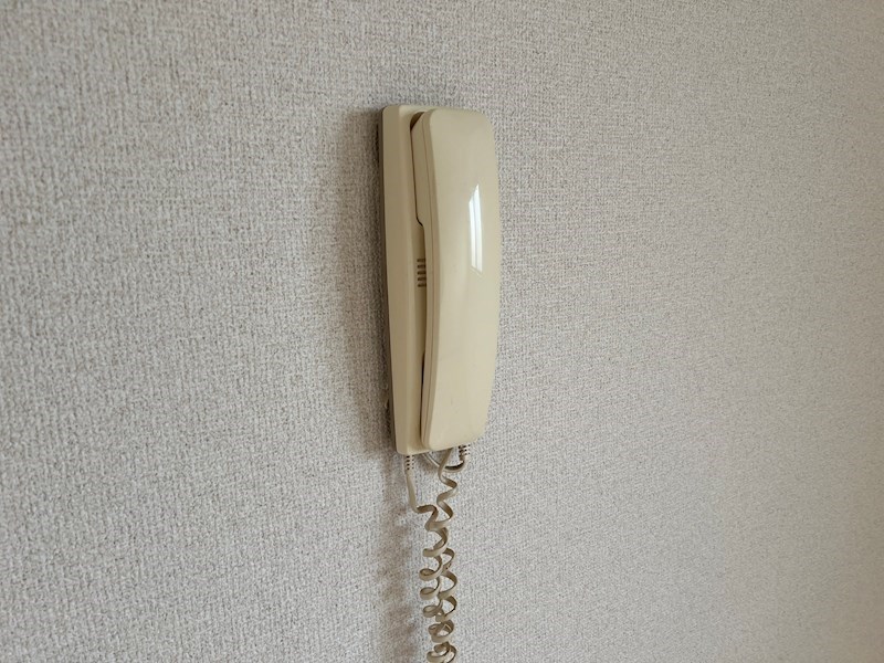 WAKAMIYA8 その他