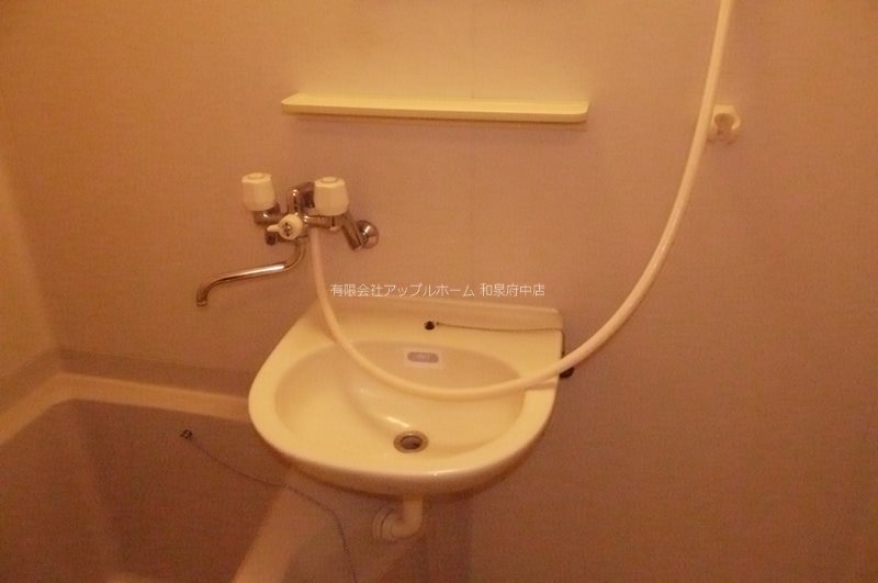 プチメゾンくずのは 洗面所