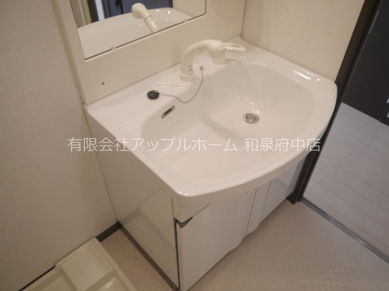 コリーヌ池上 洗面所