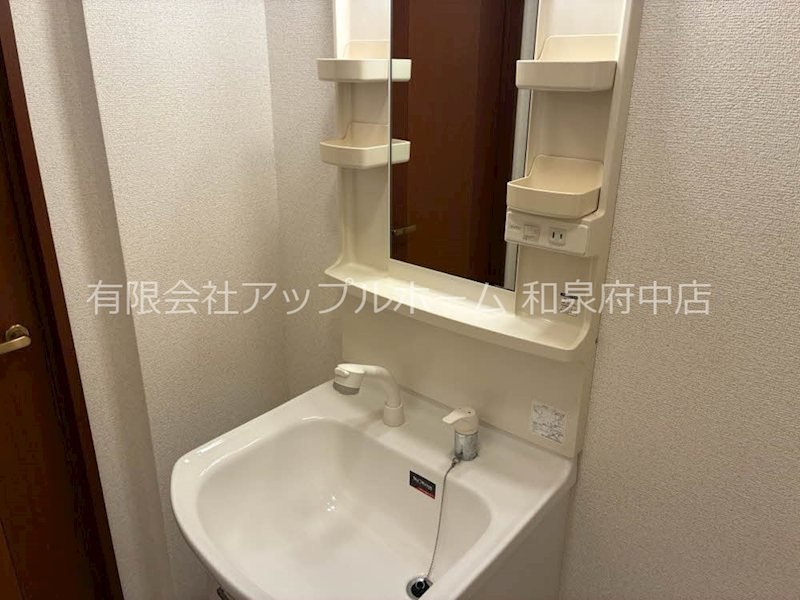 シャーメゾンいずみ 洗面所