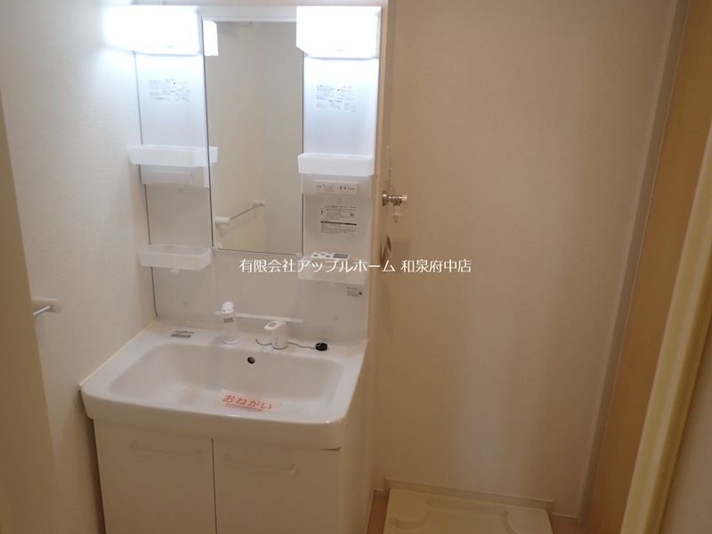 カーサエスプランドル 洗面所