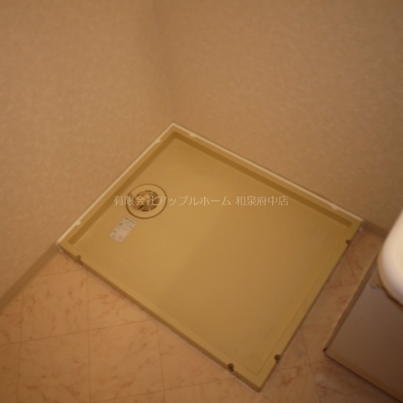 ブエナビスタ和泉中央 その他部屋・スペース