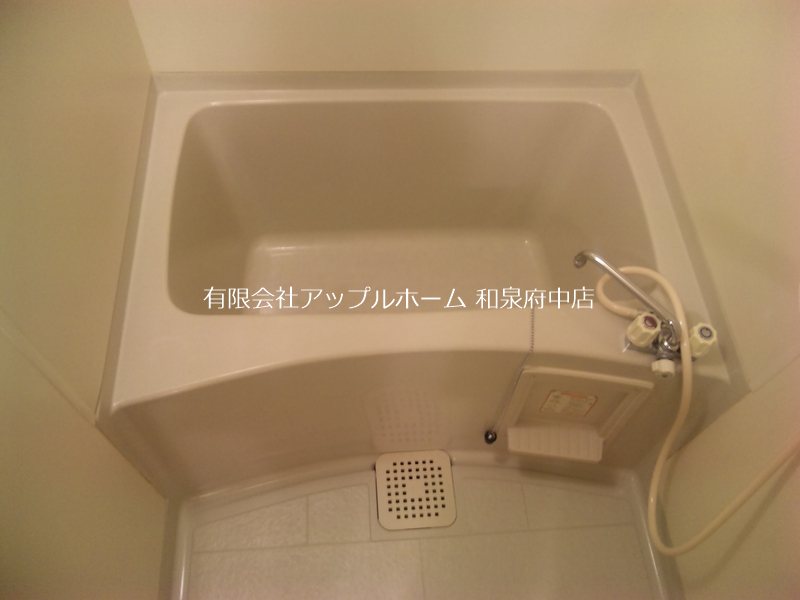 ブエナビスタ和泉中央 風呂画像