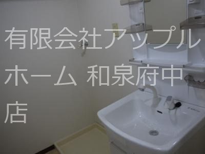エレガンテヒロ 洗面所