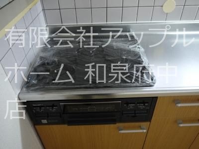 エレガンテヒロ その他