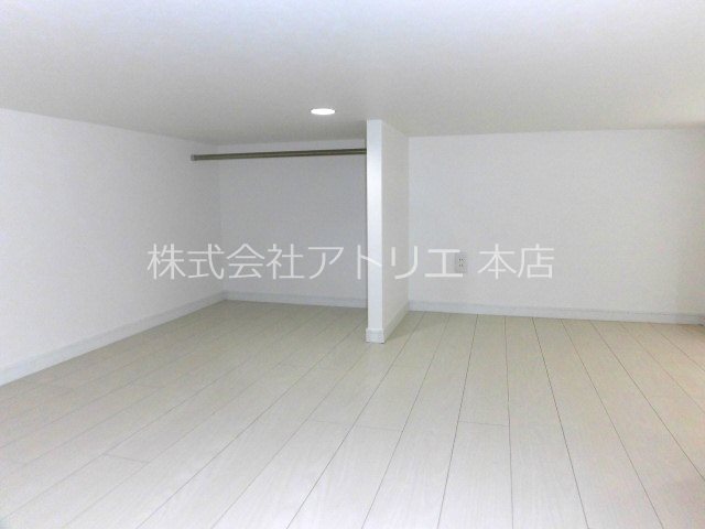 ディオーナ・コサカ その他2