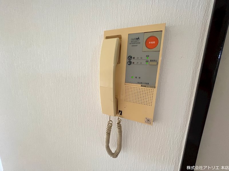 ベイリーブス その他4