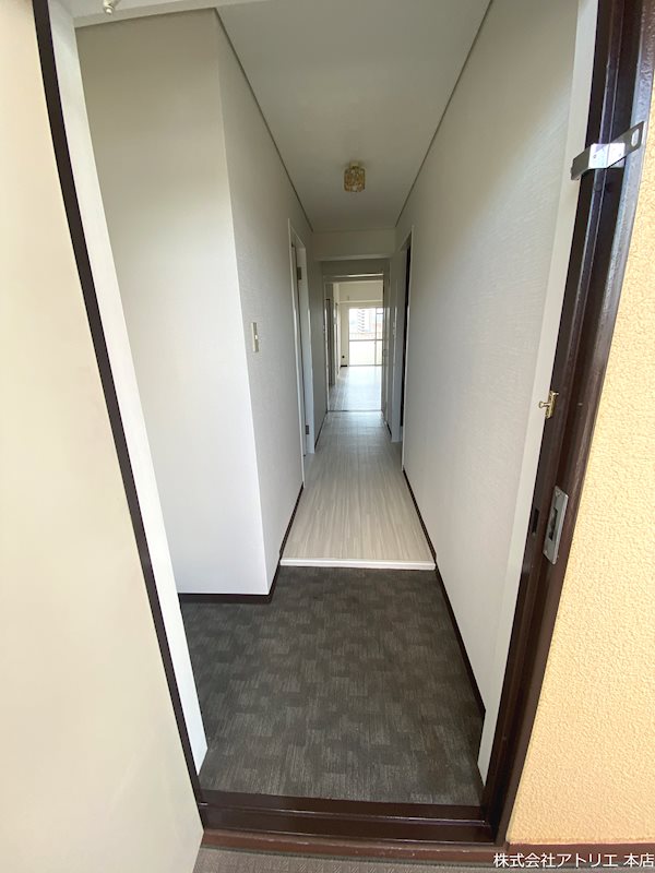 ドルミムラオ その他10