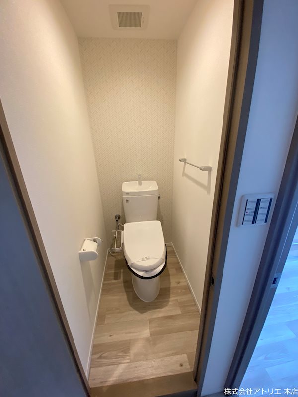 メディオグリシーナＦ その他1