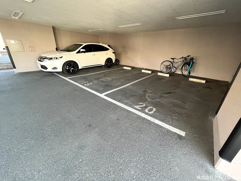 メディオグリシーナＦ その他外観3