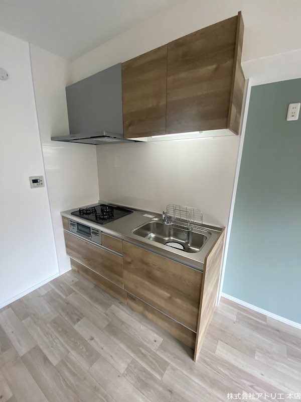 メディオグリシーナＦ その他9