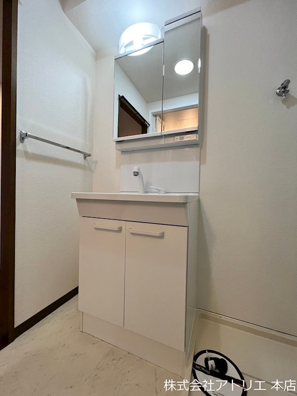 メディオグリシーナＦ その他2