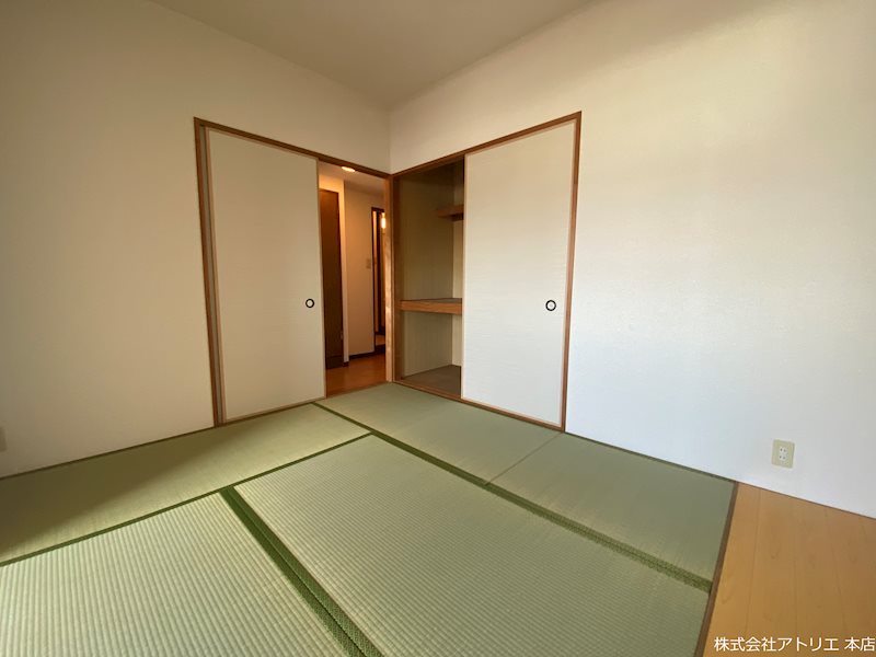 メディオグリシーナＦ その他8