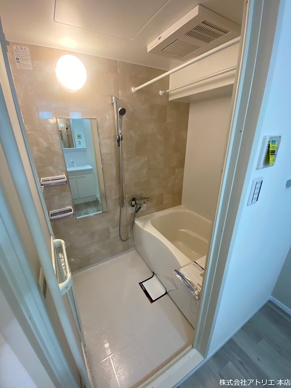 メディオグリシーナＦ その他3