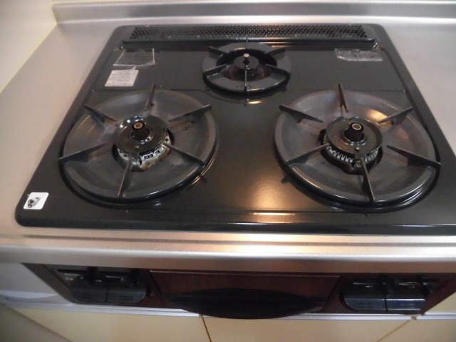 アルシオネ その他12