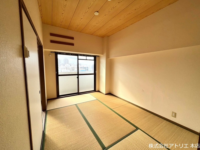 ニュープリーメル その他12