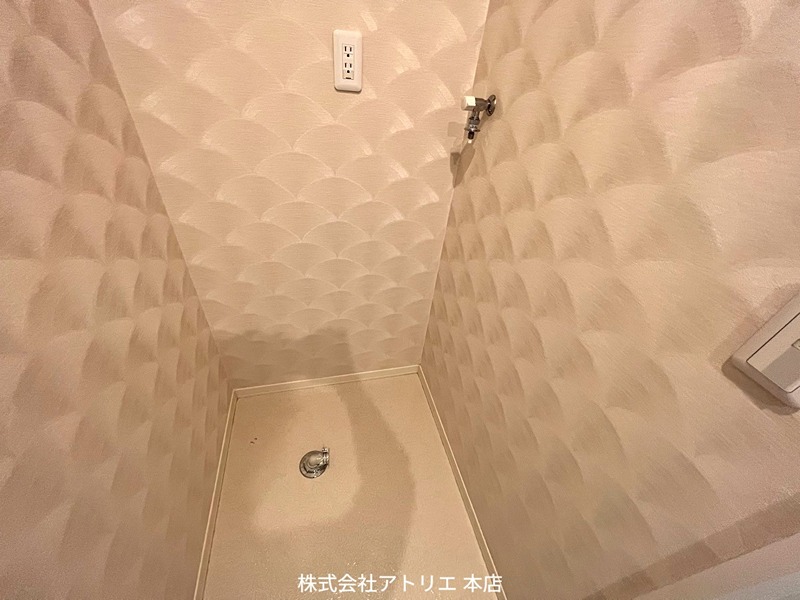 Shamaison aile furore その他11