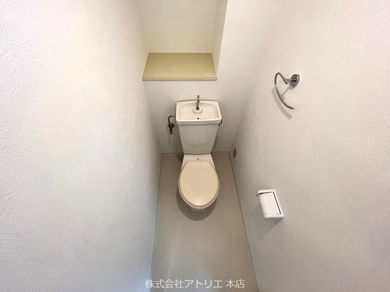 シロハイヌ吉田 その他1