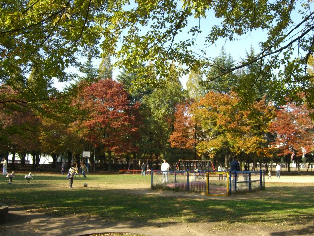 ルミエール・フジ 公園