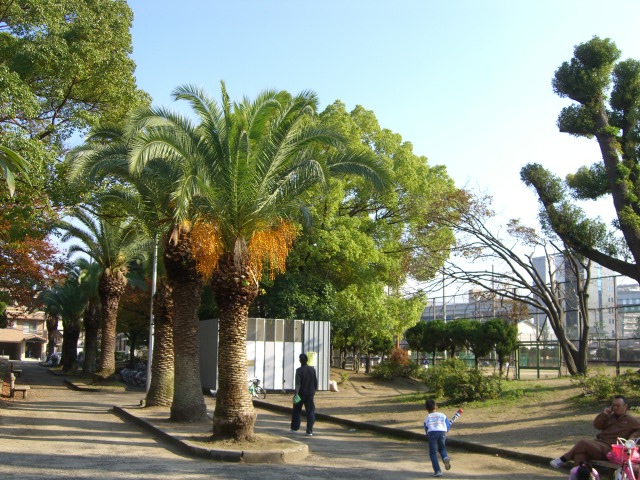 リメーンⅡ 公園