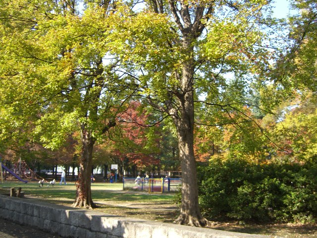 クリスタルハイツ 公園