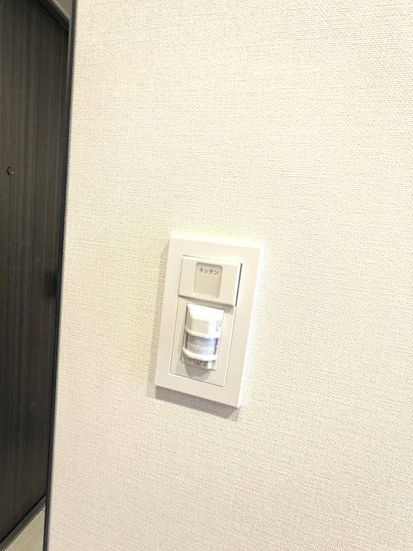 レジュールアッシュアーバンイール　 その他