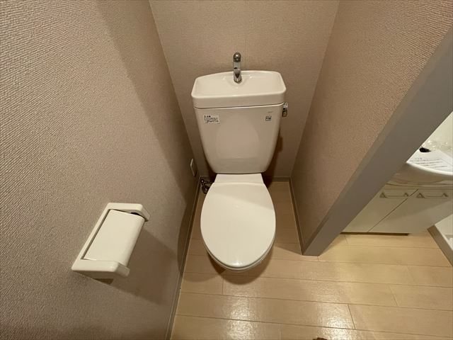 カマル・バスネ その他2