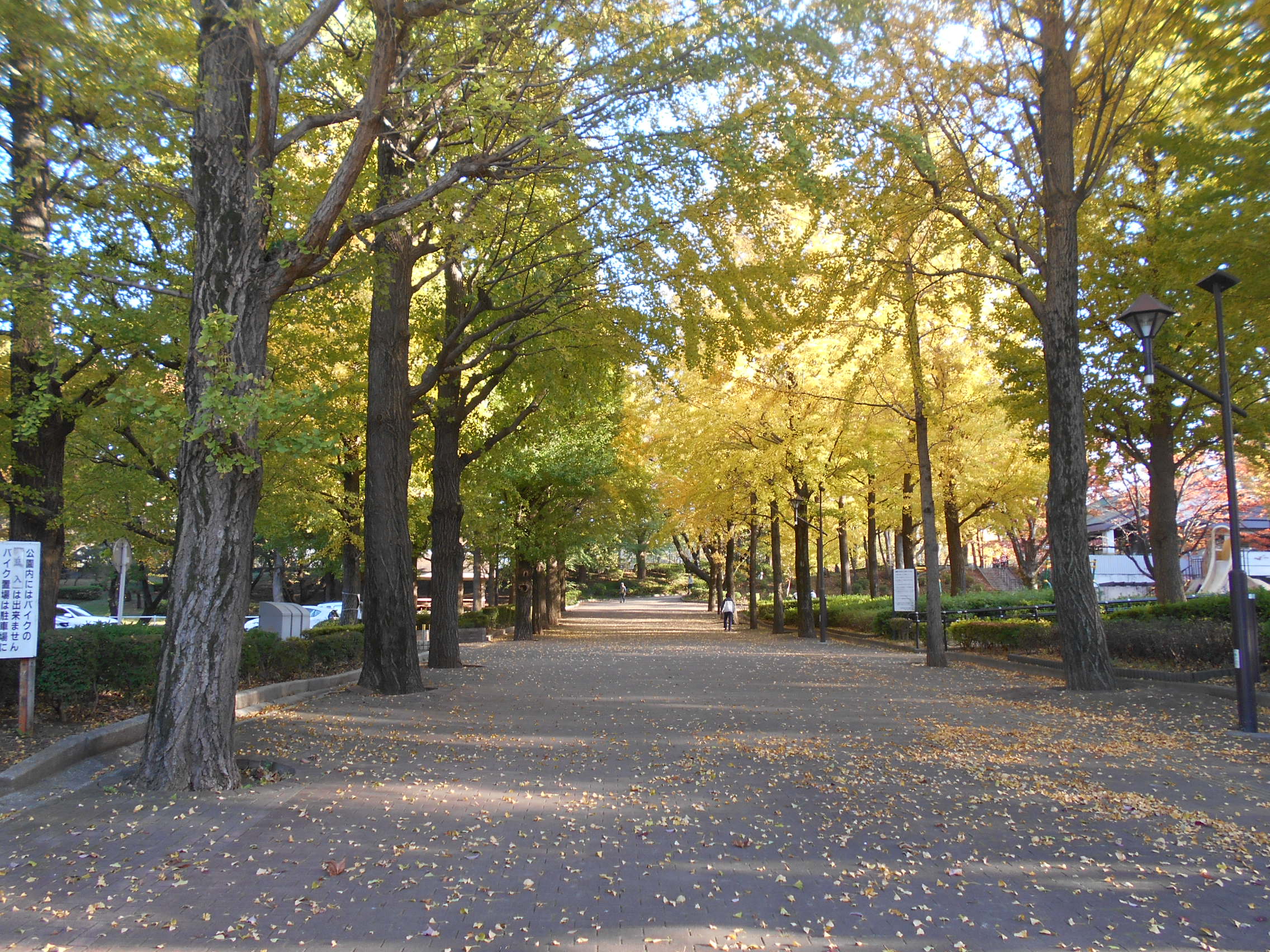 Polaris氷川台 周辺画像10