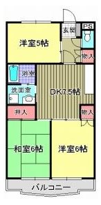 サンフラワー桜台 104号室 間取り