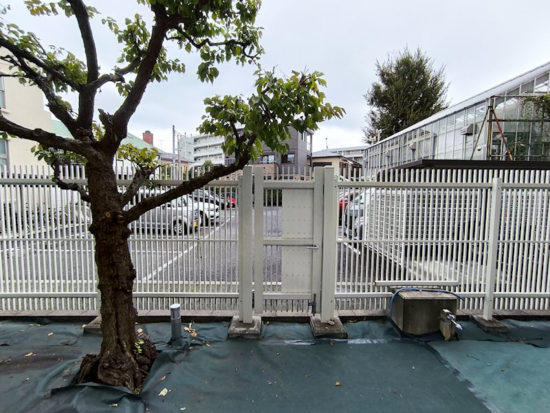 サンサール　ハワ その他5