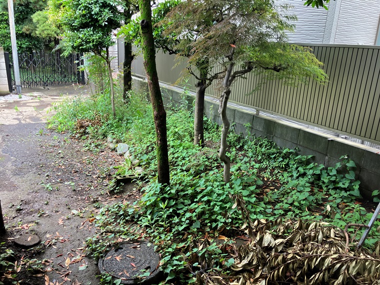 平和台戸建 その他5