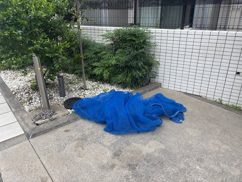 ステージグランデ平和台 その他外観6