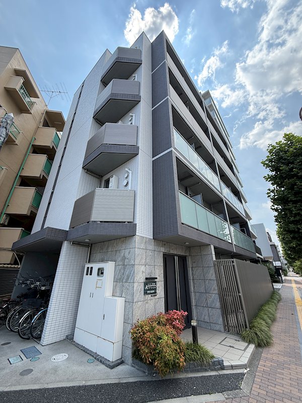 アリーチェ新江古田 501号室 外観
