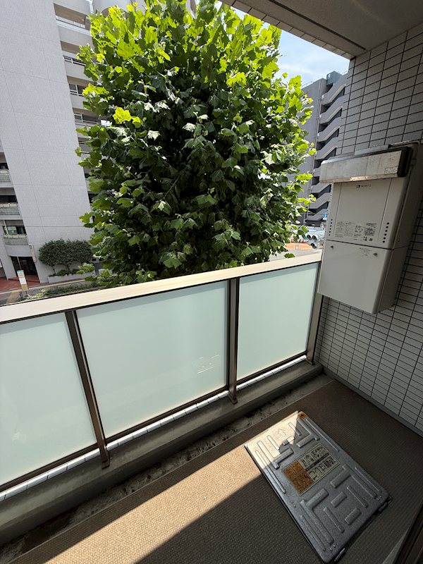 フェリーチェ豊玉北 ベランダ